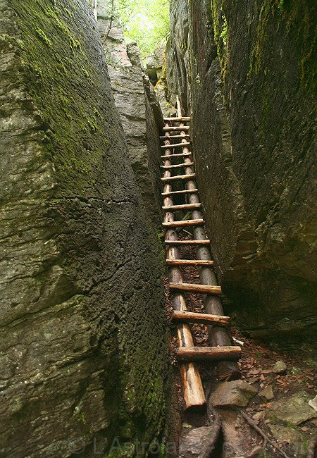 Olivier Guix - Photo Logbuilding adventure: Funny trail