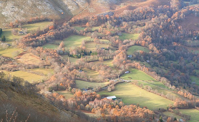 Olivier Guix - Photo Les Pyrnes en Automne: Granges, Champs