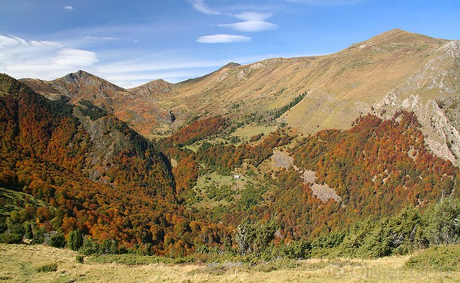 Olivier Guix - Photo Les Pyrnes en Automne: Biros, Vallon de l'Isard, Calabasse