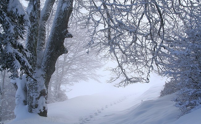 Olivier Guix - Photo Les Pyrnes en Hiver: Neige, brumes