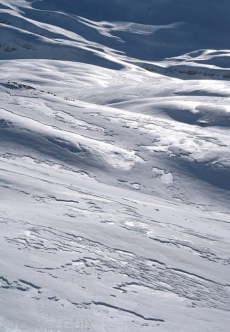 Olivier Guix - Photo Les Pyrnes en Hiver: Formes et reflets sur neige
