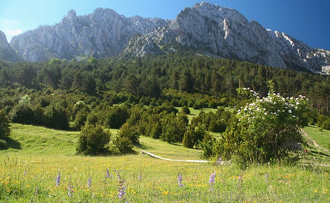 Olivier Guix - Photo La traverse des Pyrnes  VTT: La montagne sous son plus beau jour