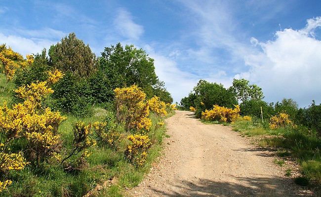 Olivier Guix - Photo La traverse des Pyrnes  VTT: Stairway to heaven